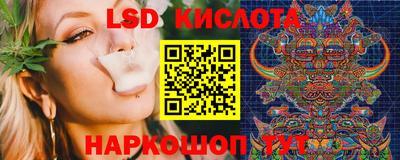 гидропоника Гатчина