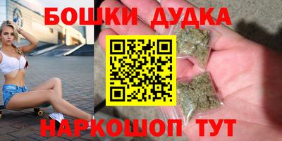 гидра Гагарин