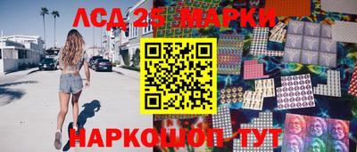 гидропоника Гатчина