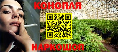 гидропоника Гатчина