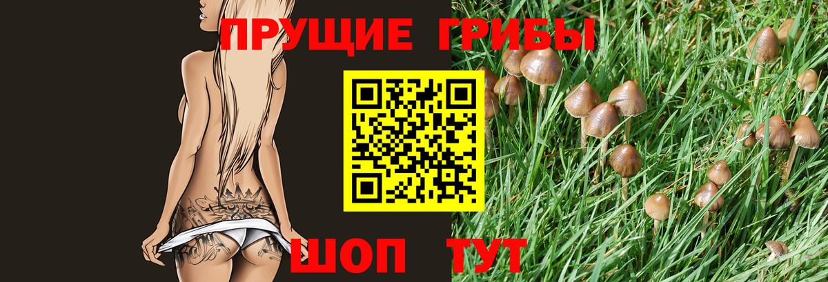 Грязи  Псилоцибиновые грибы мухоморы  Вход с VPN 